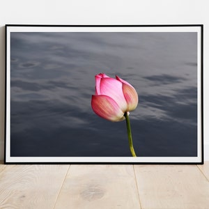 Lotus on Water, Digital Download, Printable Wall Art,Blooming Lotus Photograph, Flower Wall Decor, Botanical  Wall Art, Floral Print,