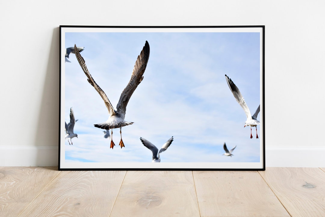 Seagulls in Flight Photograph: Coastal Beach Wall Art (digital Download ...