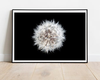 Dandelion Flower Photograph: Abstract Botanical Wall Art (Digital Download)