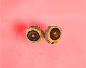 Wooden ear studs/ small tree trunks of bay wood