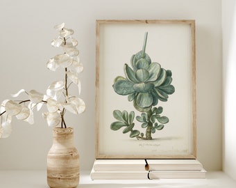 Printable Wall Art, Kitchen Wall Print, Succulent Plant Painting, Kitchen wall art, Printable art, Digital Download