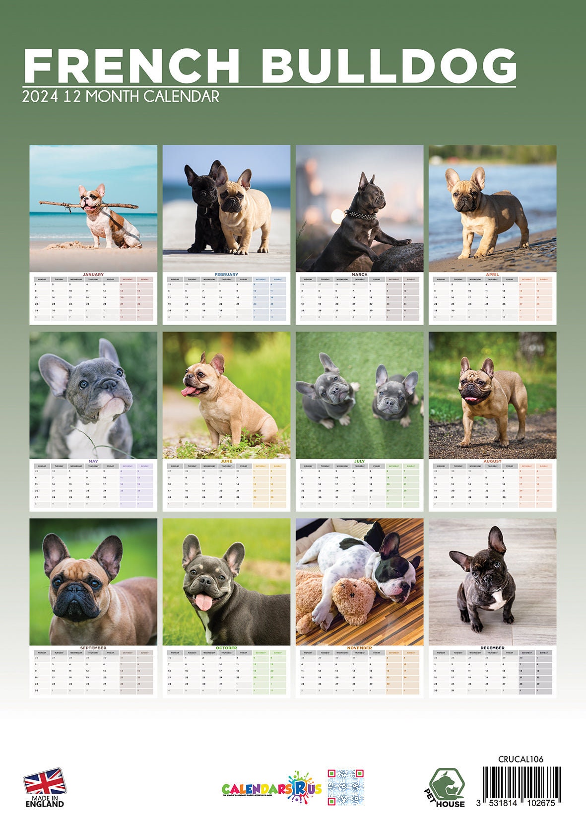 French Bulldog Calendar 2024 sold by Naeun Eo SKU 3736639 Printerval UK