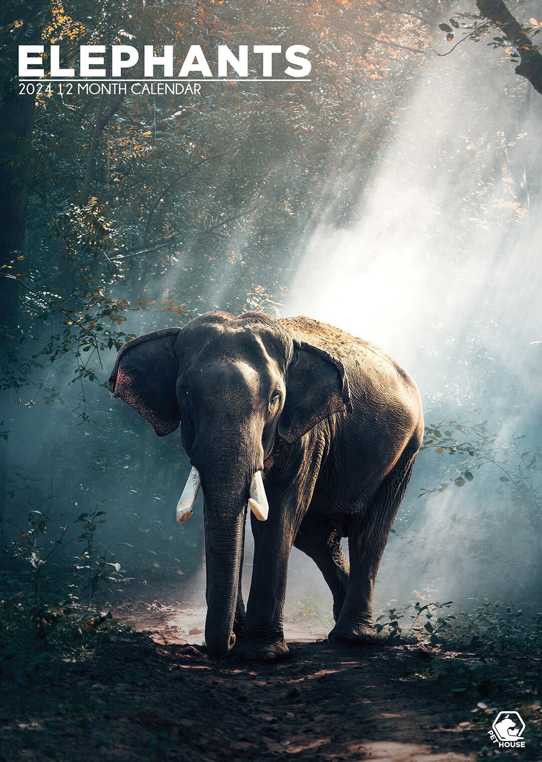 Elephants Calendar 2024 Etsy Australia