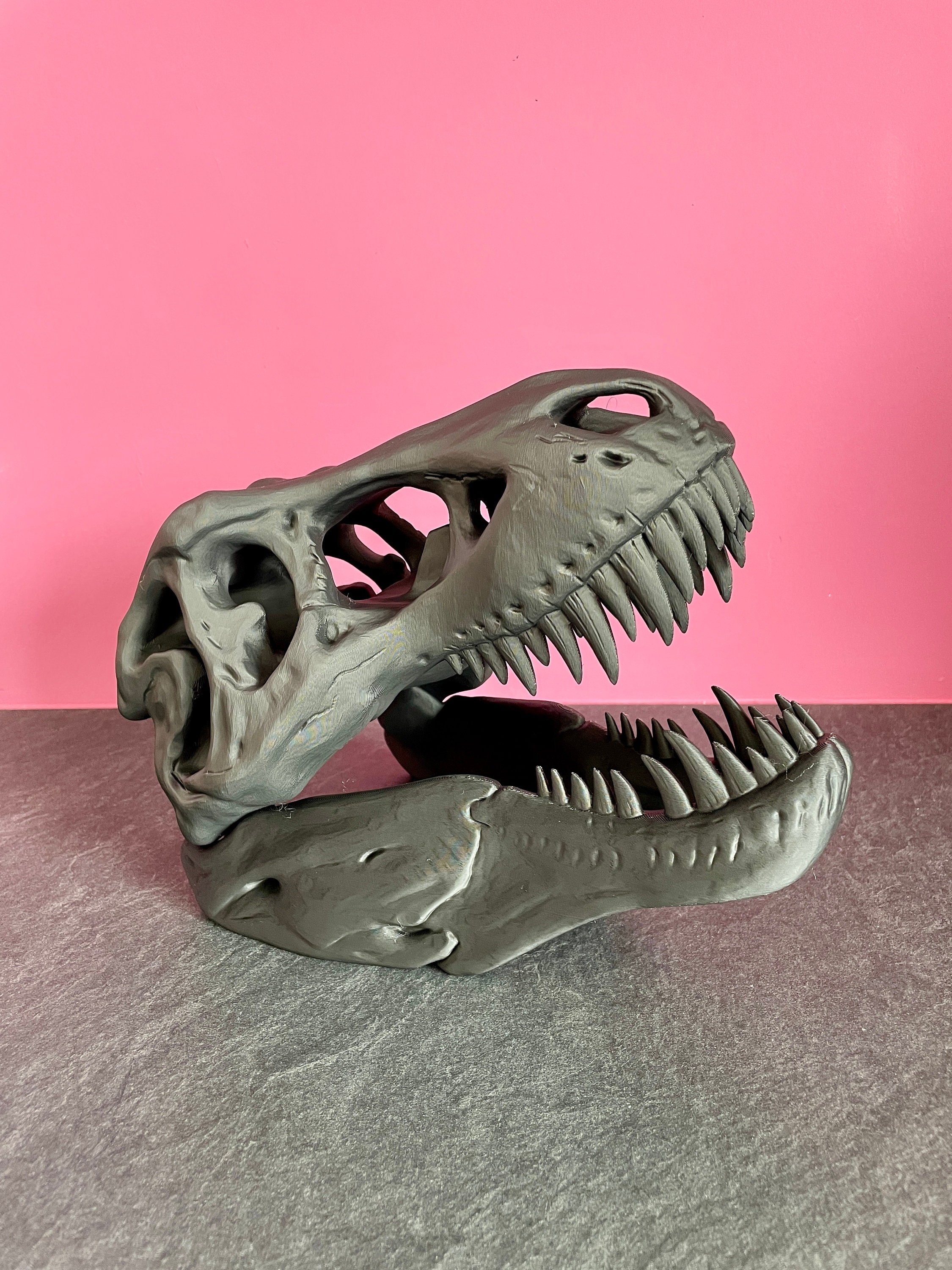 XXL | Dinosaur | T-REX | Jurassic Park | Skull | Skeleton | Head | Skull | Head | Dino