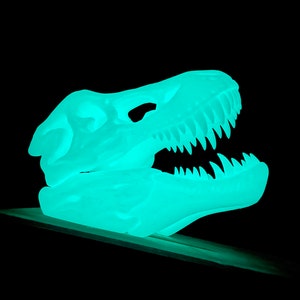 Può includere: Un teschio di dinosauro di color turchese fluorescente con un ghigno pieno di denti. Il teschio è su una superficie scura.