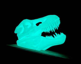 T-REX dinosauruskop | XXL| Jurassic Park | Skelet | Schedel | Hoofd | Dinosaurus | Gloed