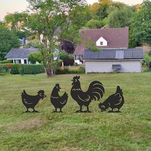 Peut inclure: Un ensemble de quatre silhouettes de poules en métal noir posées sur une pelouse verte. Le groupe comprend trois poules et un coq, chacun dans une posture distincte, avec le coq debout au centre et une poule en train de picorer le sol.