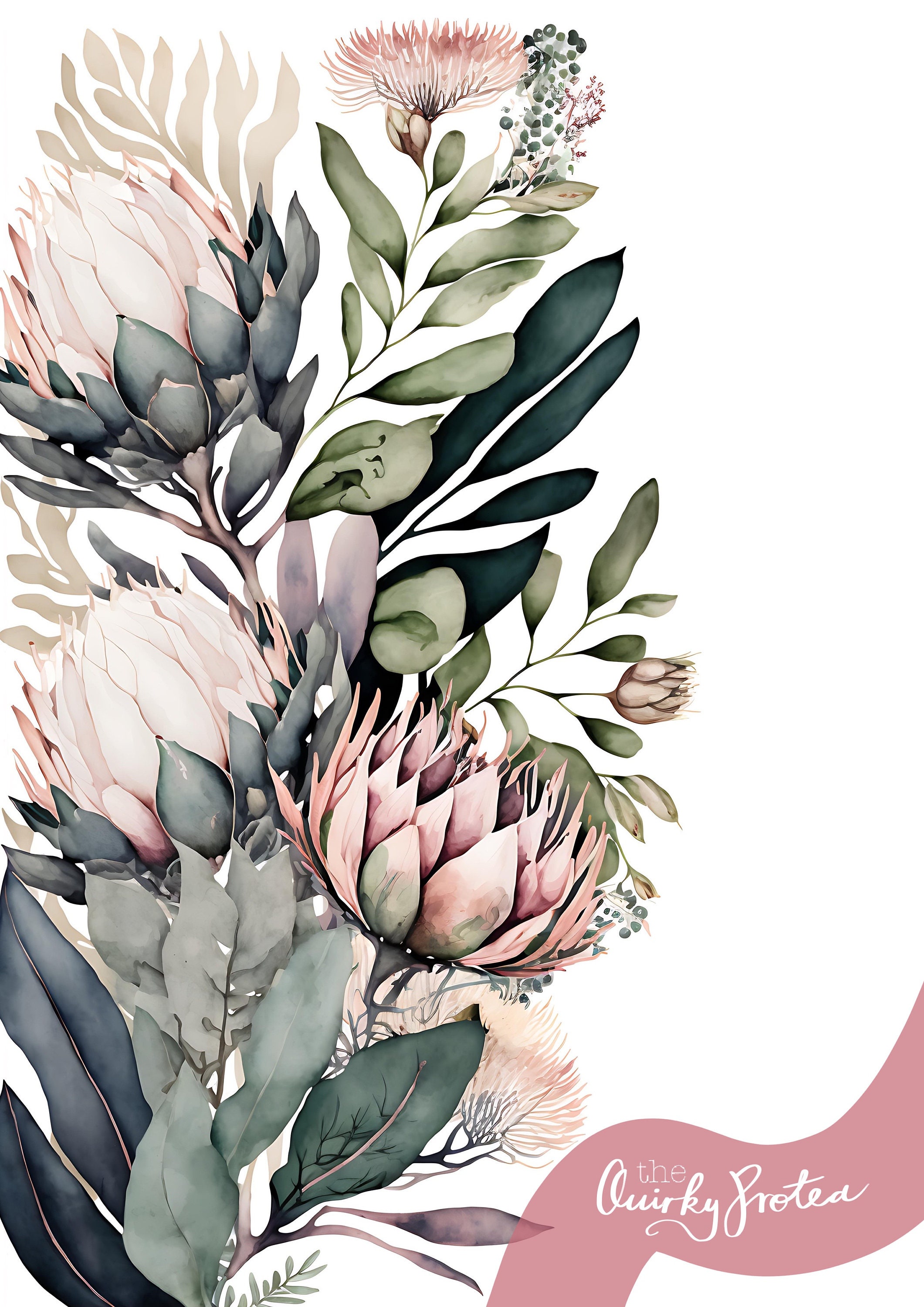 Protea Prints, Watercolour, Digital Download, Proteas Wall Art, Home