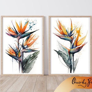 Set di 2 acquerelli di Strelitzia, fiore dell'uccello del paradiso, stampe digitali ritratto, download digitale, stile acquerello, fiore del Sudafrica