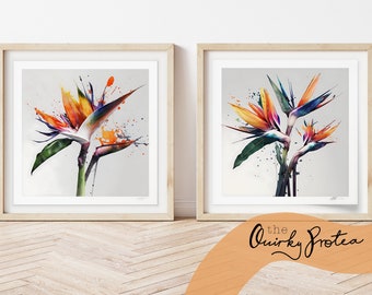 Set de impresiones en acuarela de Strelitzia: Arte enmarcado de Ave del Paraíso (Descarga digital)