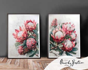 May include: Two framed prints of watercolour paintings of pink protea flowers. The flowers are in bloom and have a white centre. The prints are on a white background and have a black frame.