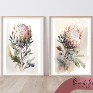 Set of 2 King Protea watercolour clipart, A4 size, Digital Download, Blush Pink Print, Protea Flower, Decor, Floral Art, AI, South Africa