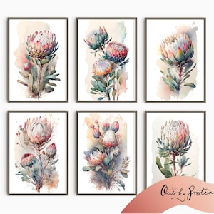 May include: Set of six watercolour paintings featuring protea flowers in various shades of pink, white, and green. The paintings are framed in black frames and have a watercolour background.