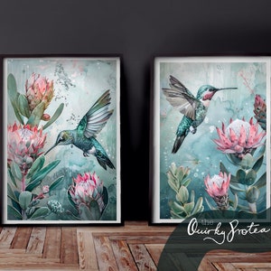 Könnte beinhalten: Zwei gerahmte Aquarelldrucke mit Kolibris und Protea-Blüten. Die Vögel haben schillernde grüne und blaue Federn. Die Blumen sind rosa, vor einem sanften blau-grünen Hintergrund. Das Logo The Quirky Protea ist sichtbar.