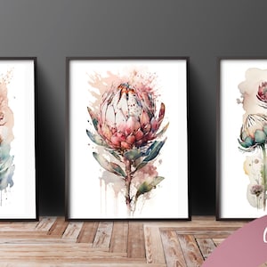 Aquarela Proteas, Digital, Clipart, Impressão Rosa Blush, King Proteas, Estampas, Arte Floral Australiana, AI, Arte Sul-Africana
