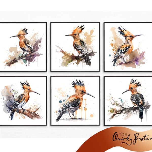 Set of 6 Hoopoe Birds watercolour, Square, Digital Download, Clipart, South Africa, Hoop Hoop, Bird art, Watercolours, AI