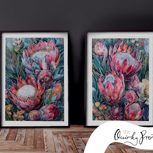 Puede incluir: Dos impresiones enmarcadas de pinturas de acuarela de flores de protea rosas y blancas con hojas verdes. Las impresiones se titulan "the Quirky Protea".
