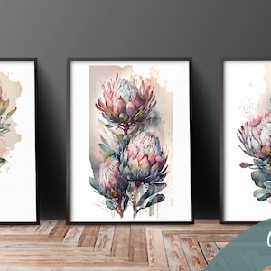 Set of 3 Protea Prints, Watercolour, Digital, Blush Pink Print, Protea Print, Digital Prints, Floral Art, AI, South Africa Art, Farmstyle