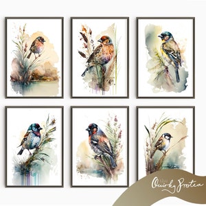 Set of 6 South African Birds Watercolour clipart, A4 size, Digital Download, Bird Art, AI, South Africa, Birds of Africa, Little Birds