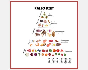 Paleo Diet Food Pyramid