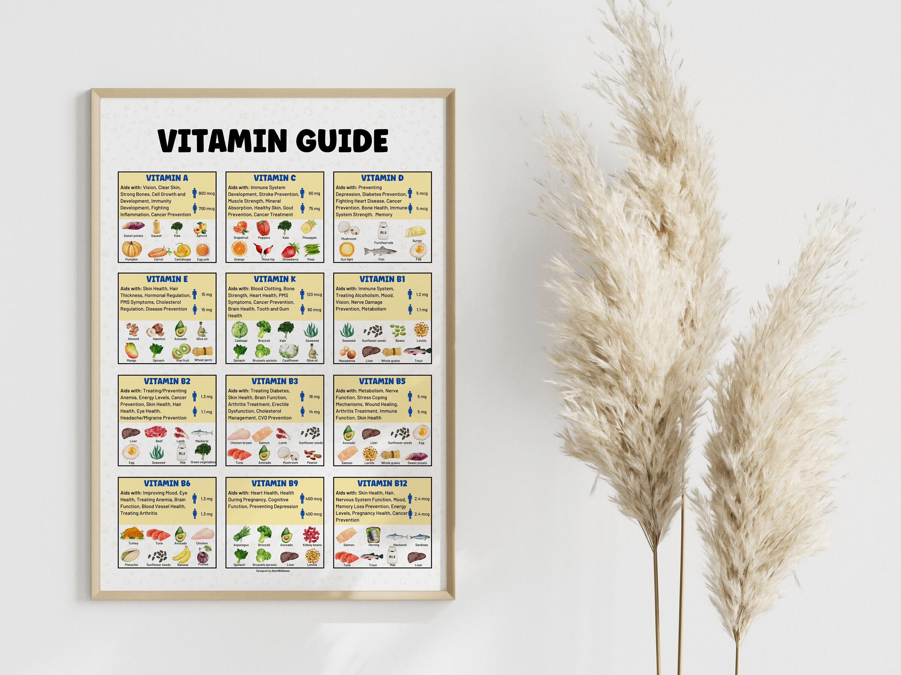 Optimize Your Pituitary:  A Comprehensive Vitamin Guide - 1z0eo02