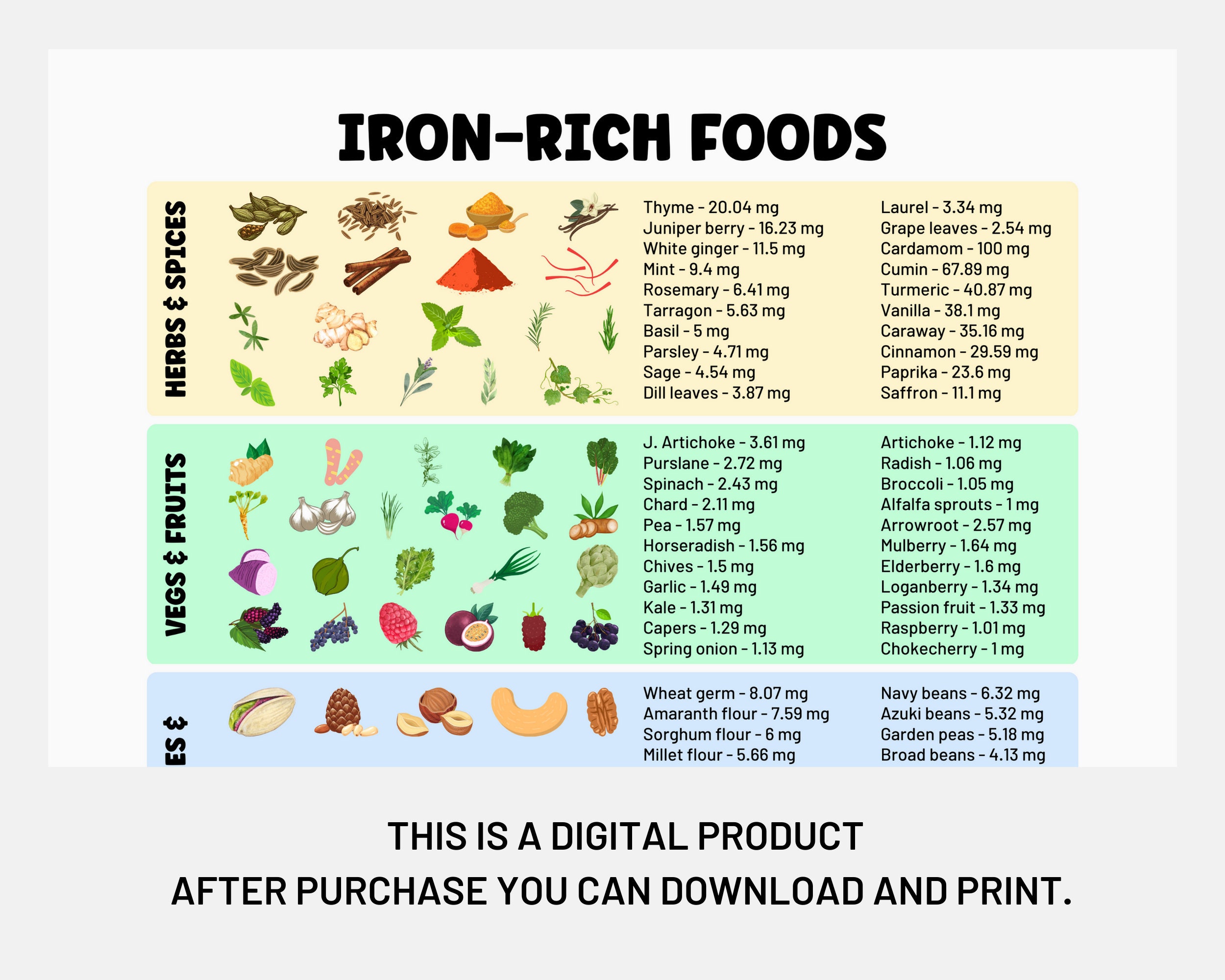 Iron rich Foods Poster Iron Food Guide Nutrition Poster Foods For Iron Deficiency Grocery List