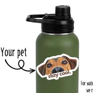 Custom Pet Photo Sticker: Personalized Dog or Cat Decal