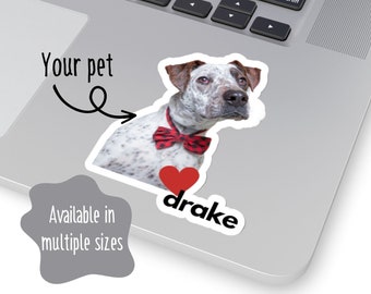 Custom Pet Photo Sticker, Personalized Dog or Cat Decal
