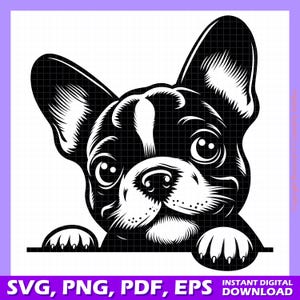 French Bulldog SVG, Frenchie Clipart, Bulldog Silhouette, French Bulldog Head PNG, Dog Lover Digital Download, Pet Logo Design, Puppy SVG