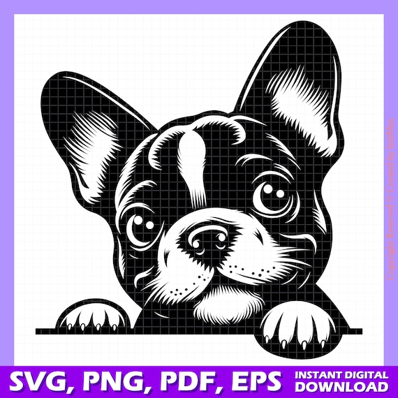 Portrait de bulldog ançais dans un bandeau et avec des lunettes