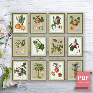 Op de afbeelding: Twaalf kruissteekpatronen met verschillende vruchten en planten, waaronder sinaasappels, appels, druiven, kersen, perziken, granaatappels en ananas. Elk patroon is ingelijst in een bruin frame met een lichtgroene achtergrond.