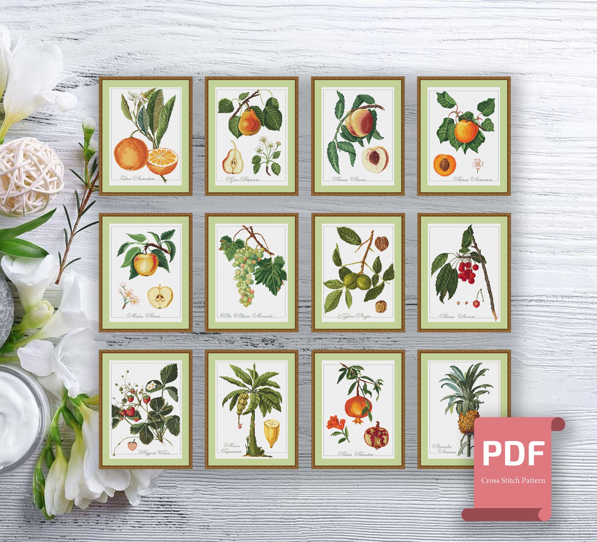 Set of 12 Fruits Cross Stitch | Fruit Cross Stitch Pattern