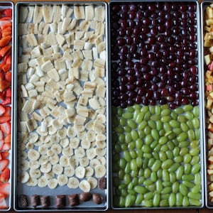 freeze dried Fruit: apple, banana, strawberry, grape