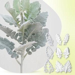 Senecio cineraria silicone veiner and plastic cutter, floral silicone mold for polymer clay and fondant cake, clay flower, cake Decorating