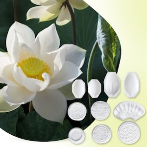 Lotus silicone veiner and plastic cutter, floral silicone mold for polymer clay, fondant, clay flower, sugar craft, cake decorating
