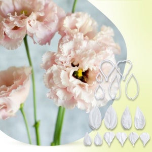 Eustoma silicone veiner and plastic cutter, floral mold for polymer clay and fondant, clay flower, cake decorating