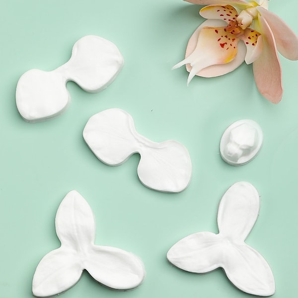 Veineur de silicone d’orchidée papillon et coupeur en plastique, moule floral de presse pour l’argile de polymère/résine et le gâteau fondant, fleur d’argile, artisanat de sucre