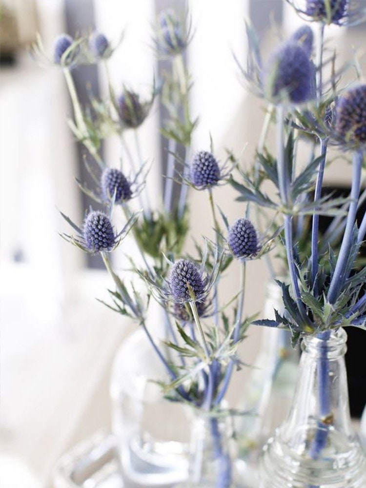 Eryngium Sea Holly Polymer Clay Mold Fondant Mold Candle Etsy