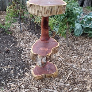 Cedar/Juniper Side Table image 5