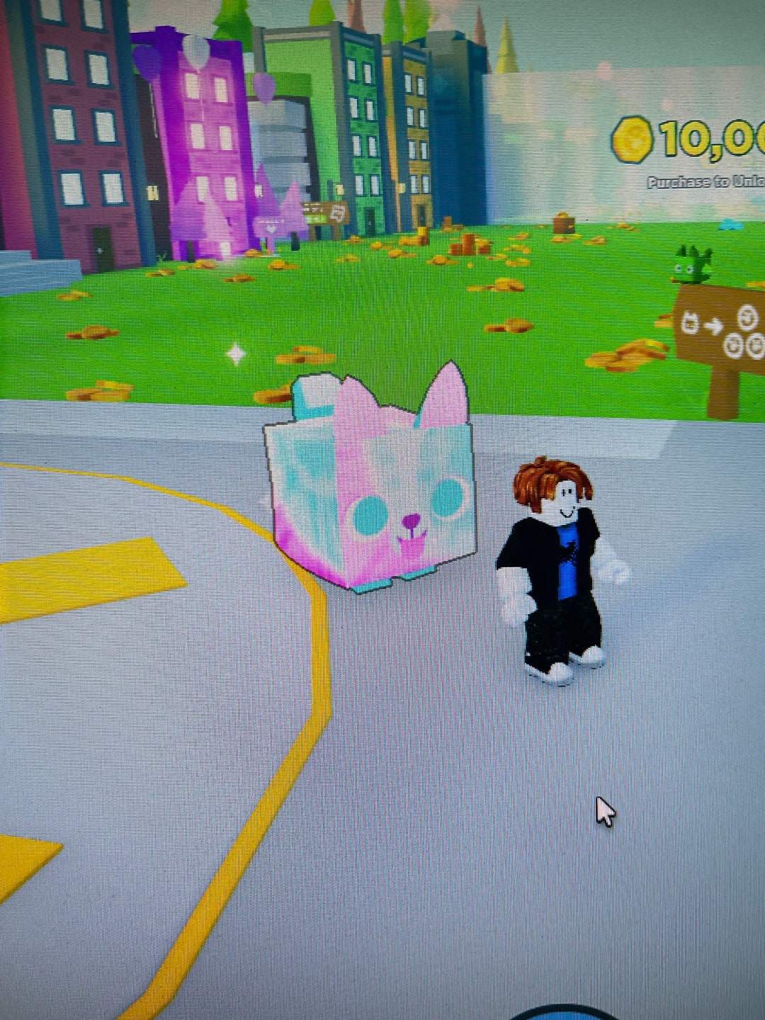 Huge Tie Dye Pet Sim X 100 Dollars Etsy