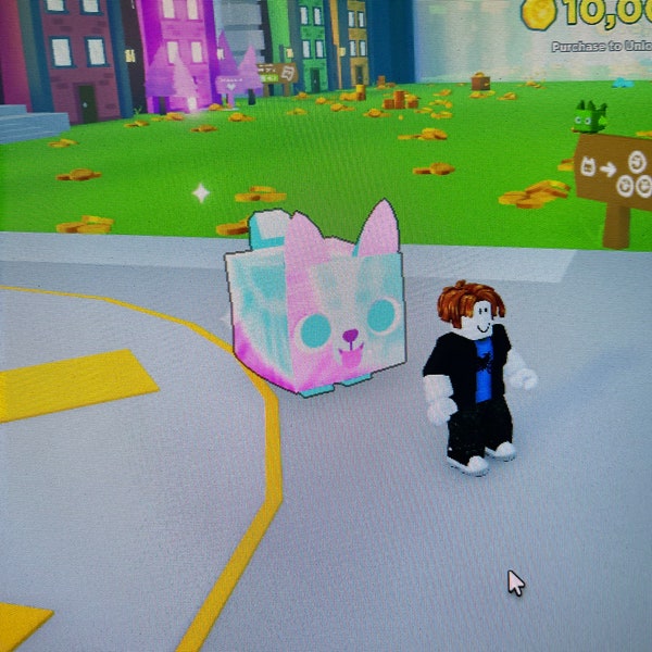 Huge Pet Pet Sim X Etsy