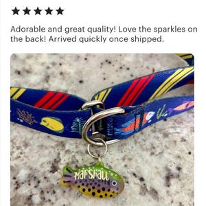 Pu&ograve; includere: Un collare per cani con un motivo blu e giallo, un anello in metallo argentato e un'etichetta identificativa per animali a forma di pesce. L'etichetta &egrave; verde, gialla e viola con il nome "Marshall".