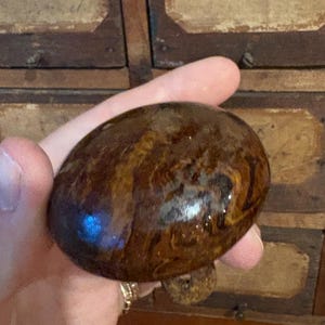 May include: A smooth, oval-shaped wooden knob with a polished finish, featuring a swirling, variegated pattern of dark brown, tan, and golden wood grain throughout its surface, showcasing a rounded, bulbous form with a small, protruding base attachment.