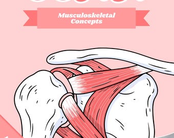 Musculoskeletal Concepts Lernführer Entwickelt aus Barrons CCRN Buch * DIGITALE DATEI *