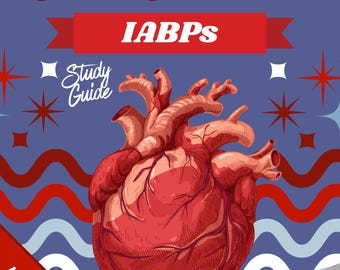 Alles over IABP Studiegids *DIGITAL FILES*
