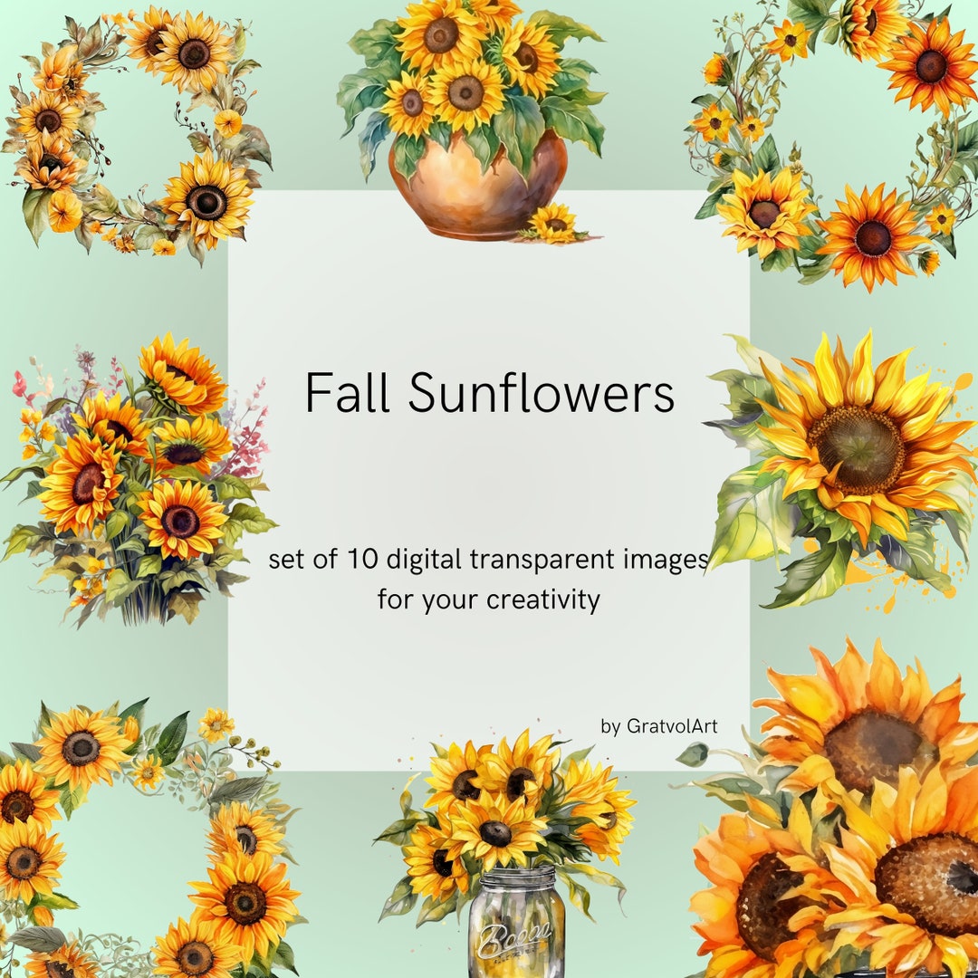 Watercolor Sunflowers Clipart - Fall Sunflower Floral Bouquets in PNG ...