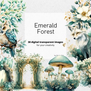 Aquarelle Emerald Forest Clipart - arbre émeraude png numérique, hibou, renard, graphiques de lanterne pour téléchargement instantané utilisation commerciale