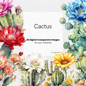 Acuarela Cactus Clipart - descarga instantánea en formato PNG de cactus del desierto para uso comercial