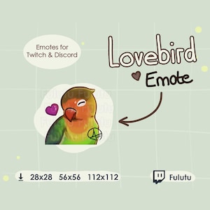 Emote de corazón de Fischer, un agapornis adorable, para Twitch, Discord y YouTube. Emotes de transmisión de loro, pájaro, abejorro y kawaii.
