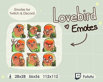 Lovebird Peach-faced Emote Paket | Zucken | Discord | YouTube | Kawaii süßer Vogel Birb Papagei Tracking